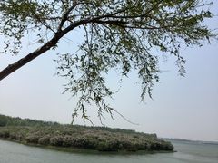 -丁香湖公园