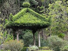 -云溪植物园
