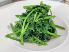 清炒菠菜-荷风细雨·中国茶宴(碧云店)