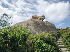 -洋山深水港