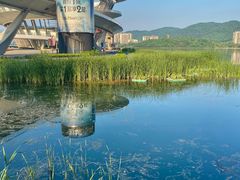 -梅溪湖城市岛