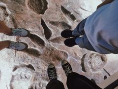 -湖南省地质博物馆