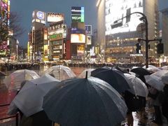 -涩谷全向十字路口