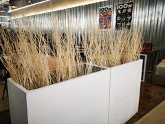 -奇帕波·披萨&炸鸡(诺和木勒站店)