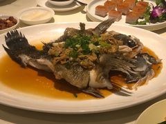 -东海海鲜酒家(中信广场店)