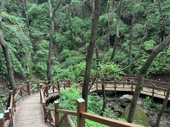 -大岭沟猕猴桃谷风景区