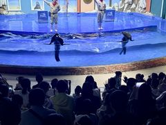 -重庆欢乐海底世界