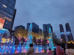 -合景·悠方(成都店)