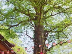 -天门寺