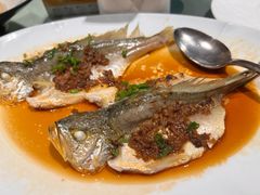 -悦海堂(金融街购物中心店)