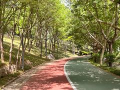 -木塔寺遗址生态公园