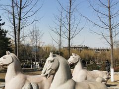 -鹦鹉寺公园