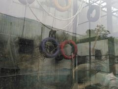 -无锡动物园·太湖欢乐园