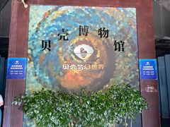 -贝壳梦幻世界
