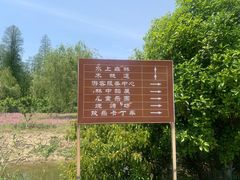 -渌洋湖湿地公园