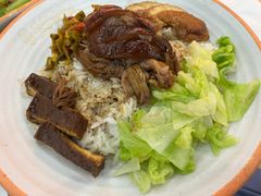 -瑞霖·隆江猪脚饭