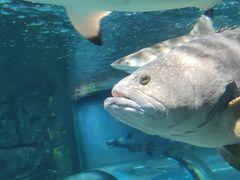 -福州罗源湾海洋世界旅游区