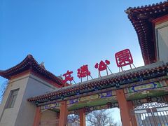 -文瀛公园