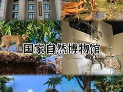 -国家自然博物馆