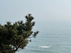 -燕儿岛山公园