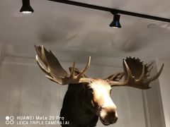-Abercrombie & Fitch(三里屯太古里店)
