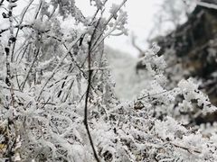 -九峰山