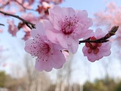 -白塘生态植物园