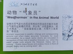 -西湖风景区-江洋畈生态公园