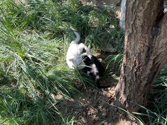 -李叔同故居纪念馆
