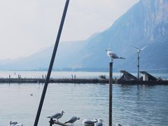 -滇池海埂公园
