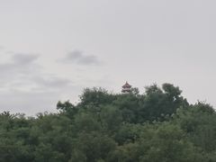 -WE ME 伴山营地·城市露营·团建策划