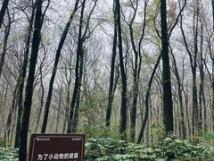 -音乐台