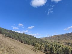 -莫尔道嘎国家森林公园