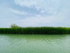 -苏州太湖国家湿地公园
