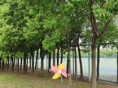 -同济大学(嘉定校区)