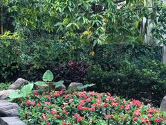 -厦门日月谷温泉渡假村