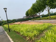 -上海山野camping·户外天幕烧烤·团建拓展营地
