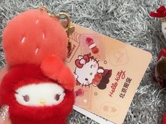 -三丽鸥 Sanrio Gift Gate(汉光百货店)