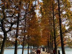 -食膳公园包子铺(烈士公园店)