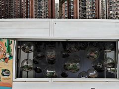 -新城市广场