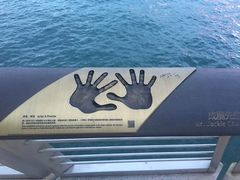 -星光大道