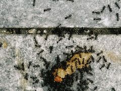 -山东省科技馆(新馆)