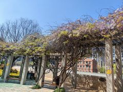 -八号桥艺术空间1908粮仓