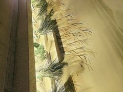 -東大方(湖州白鹭迎店)