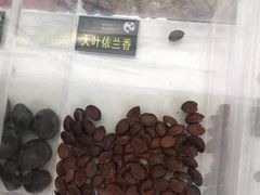 -郑州植物园