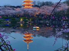 -东湖磨山景区