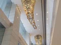 -上海大宁福朋喜来登酒店大堂吧(共和新路店)
