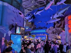 -烟台海昌鲸鲨海洋公园