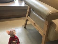 -藏猫猫咖啡主题馆(中央大道店)