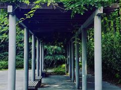 -上海滨江森林公园